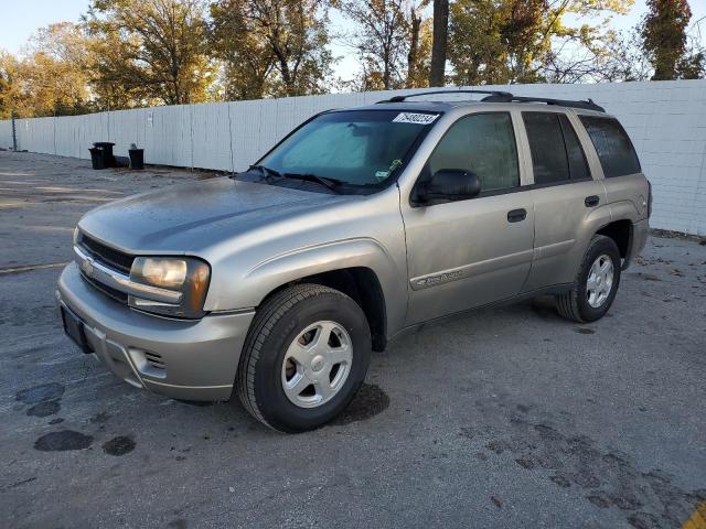 CHEVROLET TRAILBLAZE 2002 1gnds13s922369534