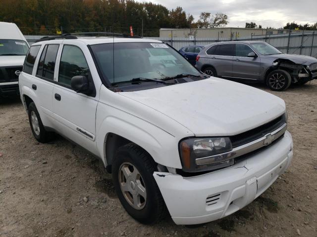 CHEVROLET TRAILBLAZE 2002 1gnds13sx22512751