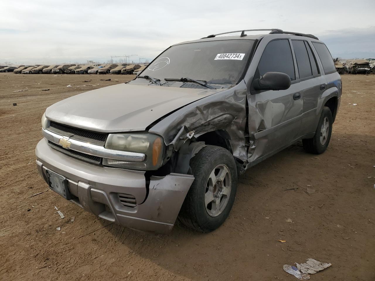 CHEVROLET TRAILBLAZER 2006 1gnds13sx62254916