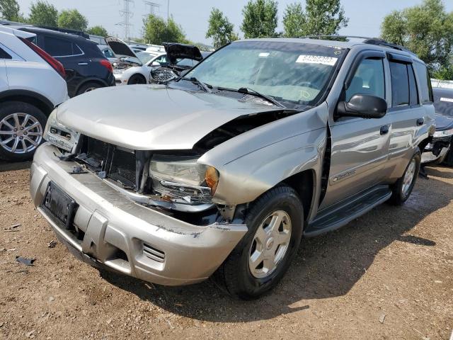 CHEVROLET TRAILBLAZE 2002 1gndt13s022353039