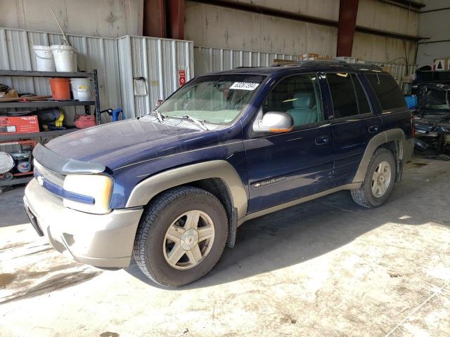 CHEVROLET TRAILBLZR 2002 1gndt13s022384159