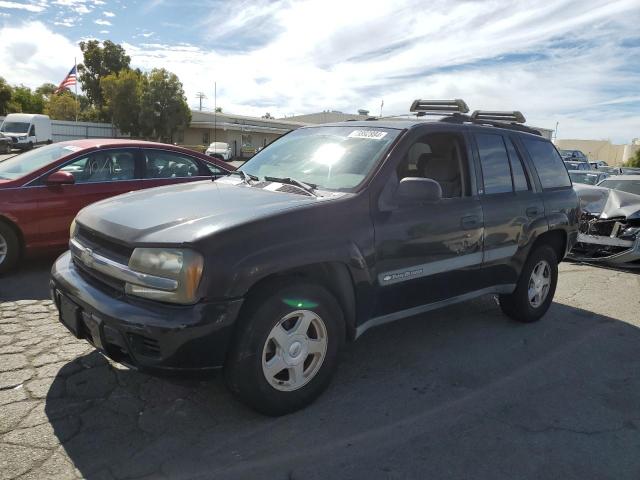 CHEVROLET TRAILBLAZE 2003 1gndt13s032116830