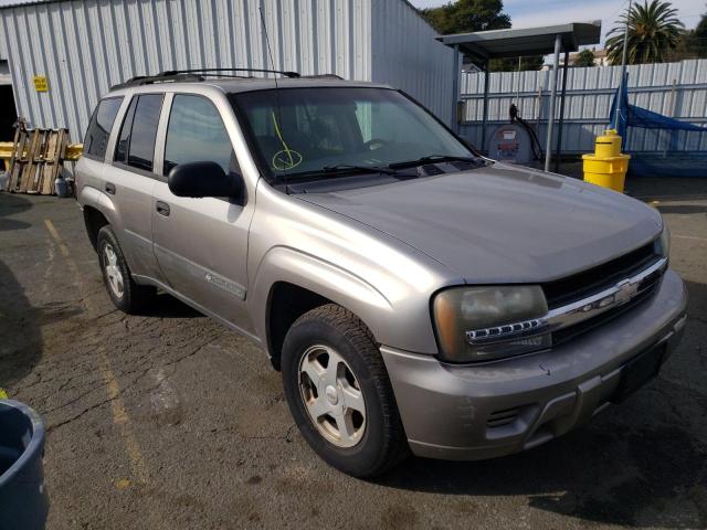 CHEVROLET TRAILBLAZE 2003 1gndt13s032151335