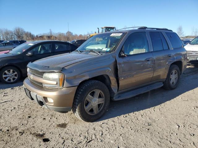 CHEVROLET TRAILBLAZE 2003 1gndt13s032152341