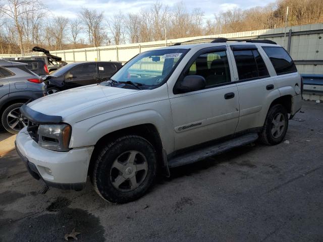 CHEVROLET TRAILBLZR 2003 1gndt13s032251645