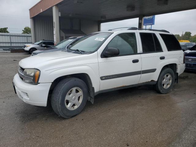 CHEVROLET TRAILBLZR 2003 1gndt13s032280983