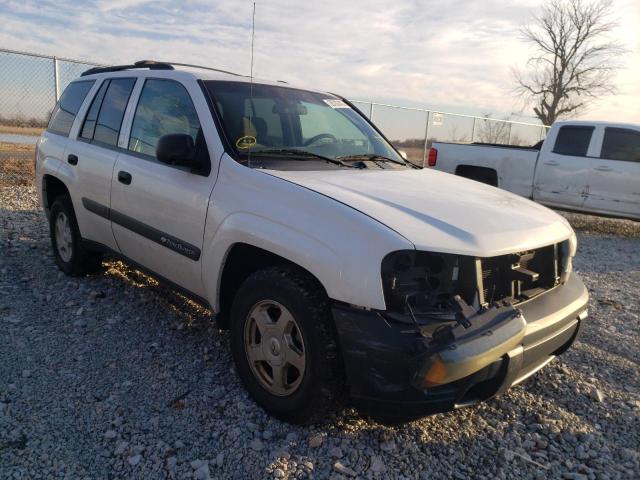 CHEVROLET TRAILBLAZE 2003 1gndt13s032344116