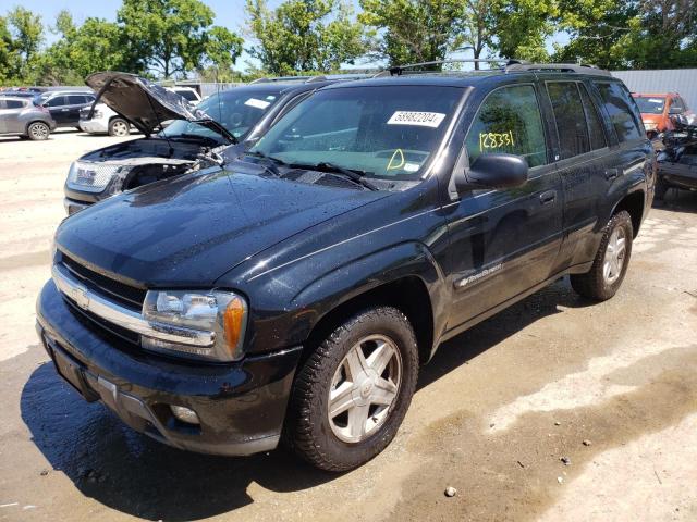 CHEVROLET TRAILBLAZE 2003 1gndt13s032411510