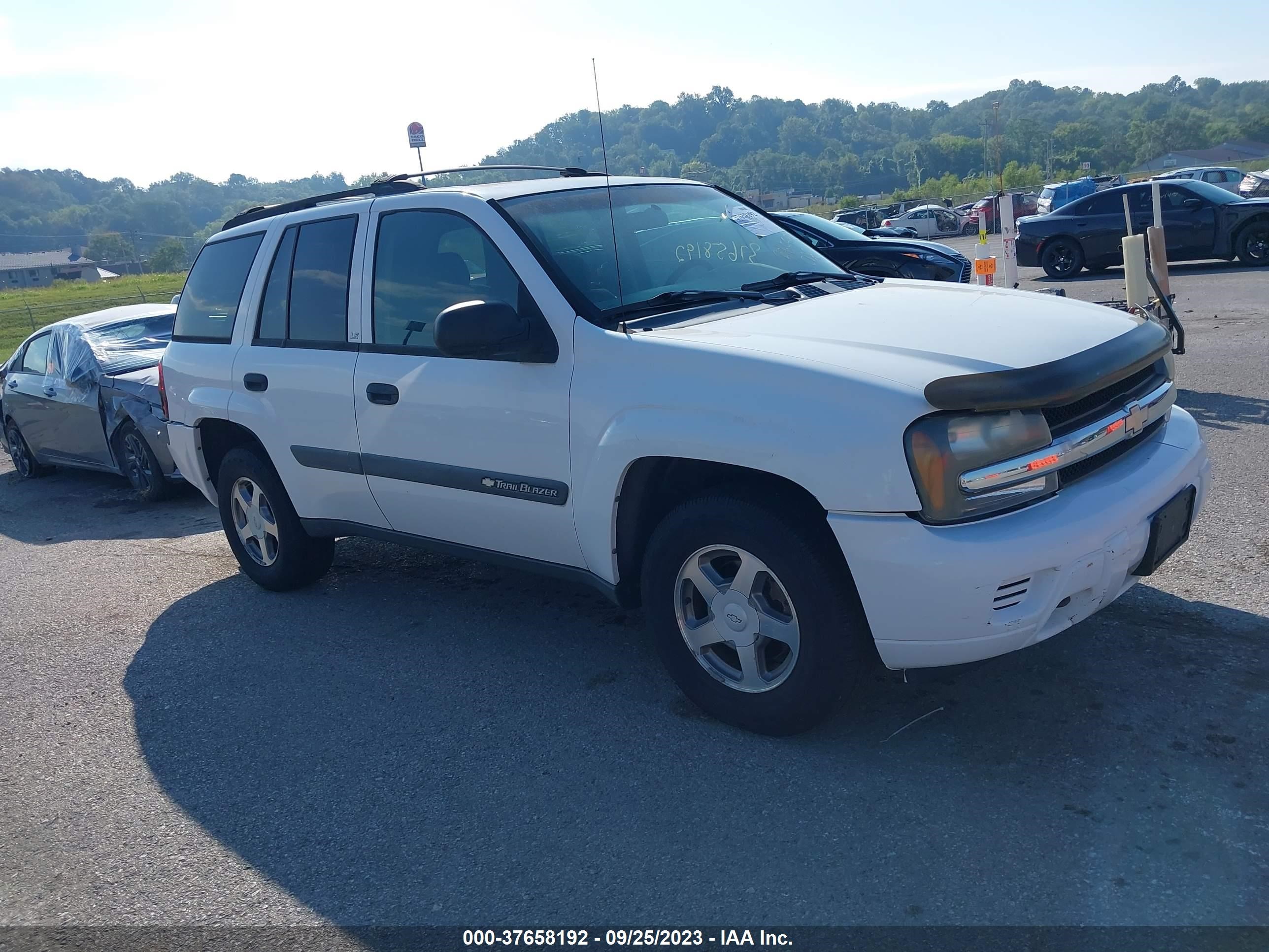 CHEVROLET TRAILBLAZER 2004 1gndt13s042247676