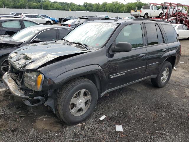 CHEVROLET TRAILBLZR 2004 1gndt13s042339600