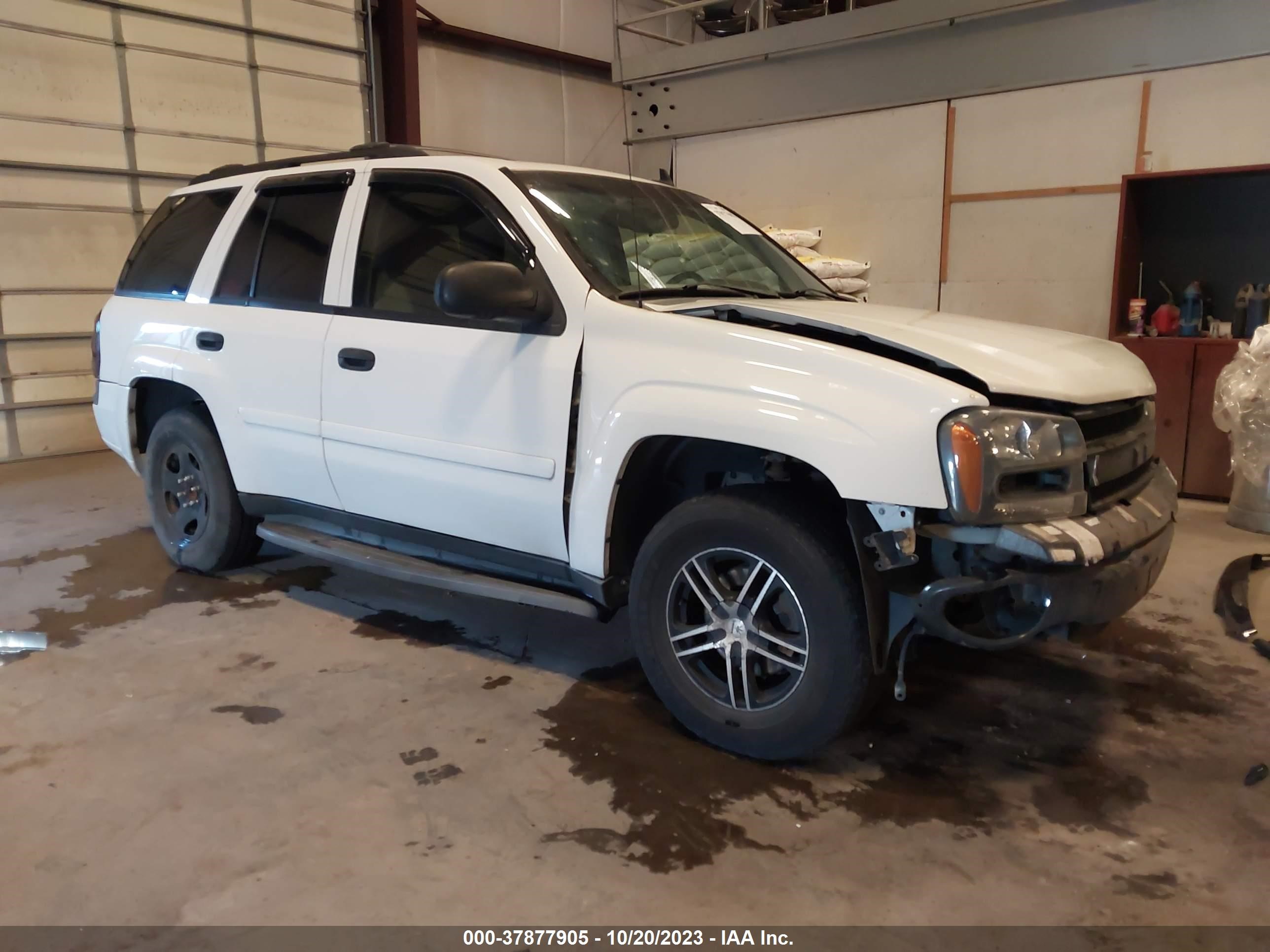 CHEVROLET TRAILBLAZER 2006 1gndt13s062302050