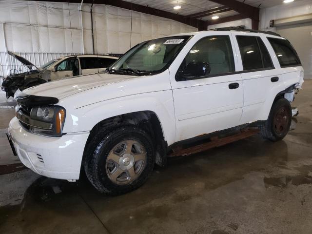 CHEVROLET TRAILBLAZE 2006 1gndt13s062313680