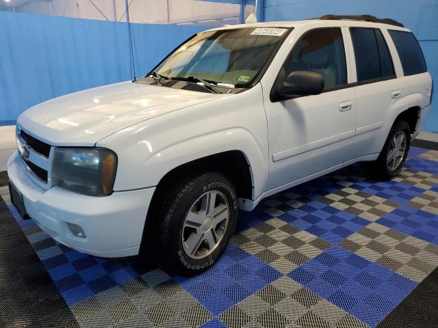 CHEVROLET TRAILBLZR 2006 1gndt13s062334755