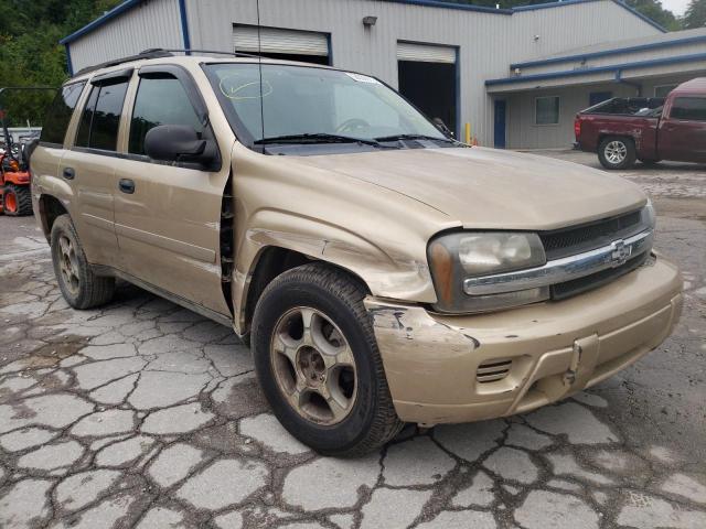 CHEVROLET TRAILBLAZE 2006 1gndt13s062355671