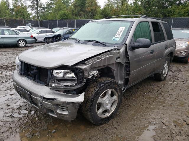 CHEVROLET TRAILBLAZE 2006 1gndt13s062360868