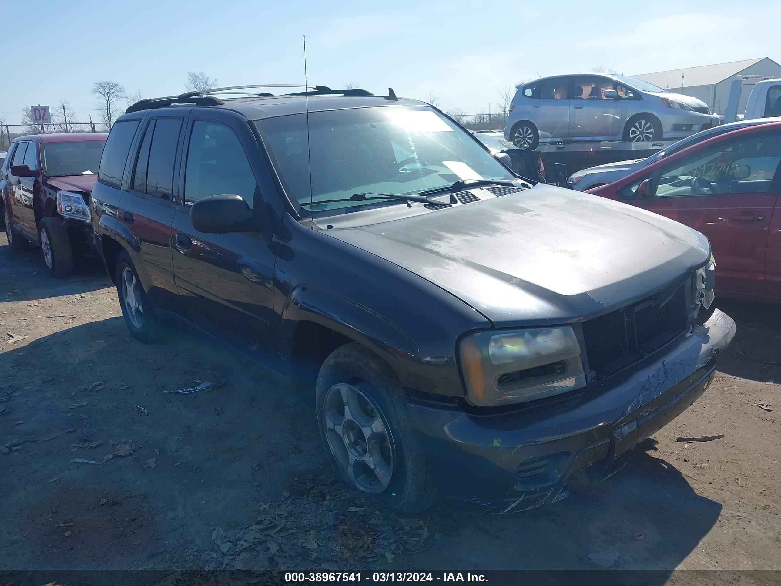 CHEVROLET TRAILBLAZER 2007 1gndt13s072102528