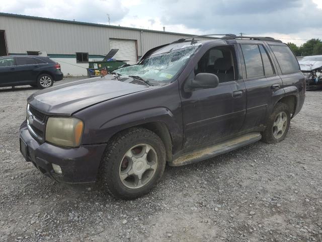 CHEVROLET TRAILBLAZE 2008 1gndt13s082117192