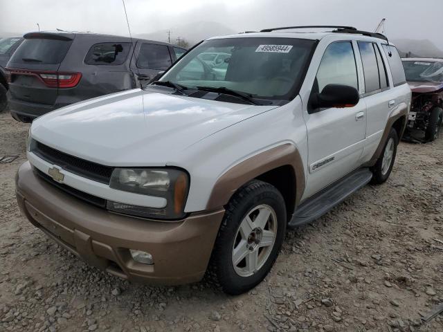 CHEVROLET TRAILBLZR 2002 1gndt13s122239602