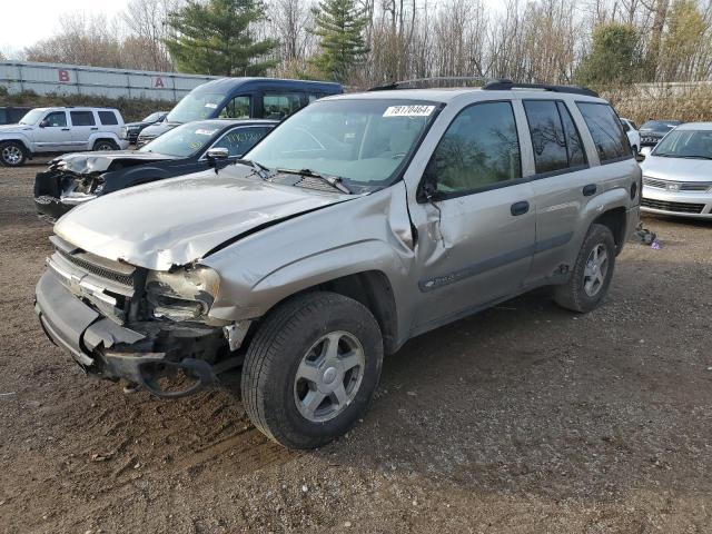 CHEVROLET TRAILBLAZE 2003 1gndt13s132100748