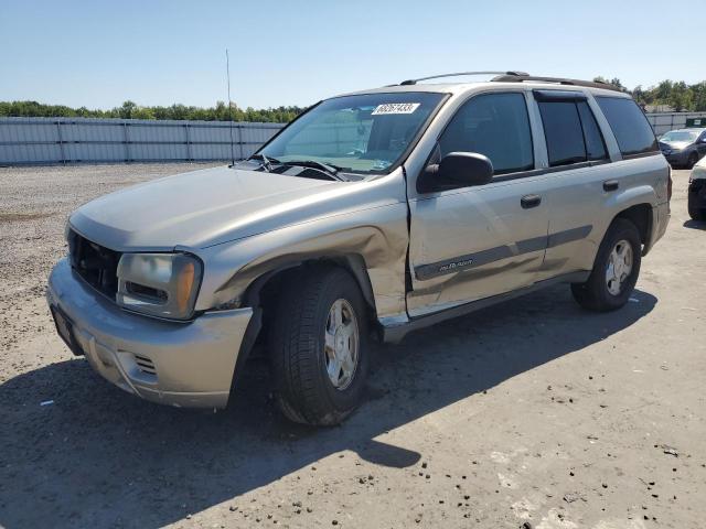 CHEVROLET TRAILBLAZE 2003 1gndt13s132363015