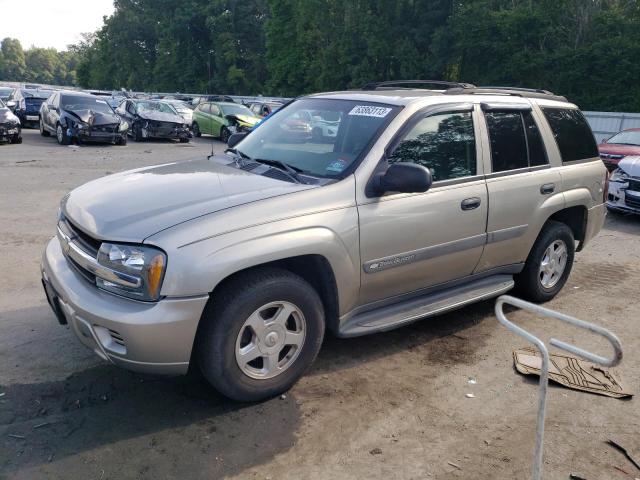 CHEVROLET TRAILBLAZR 2003 1gndt13s132383071