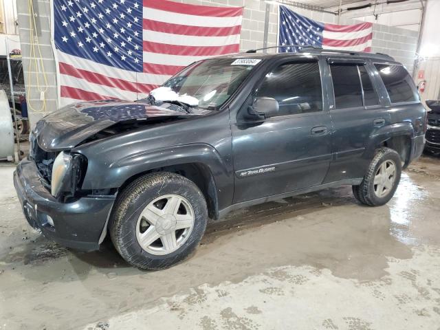 CHEVROLET TRAILBLZR 2003 1gndt13s132384978