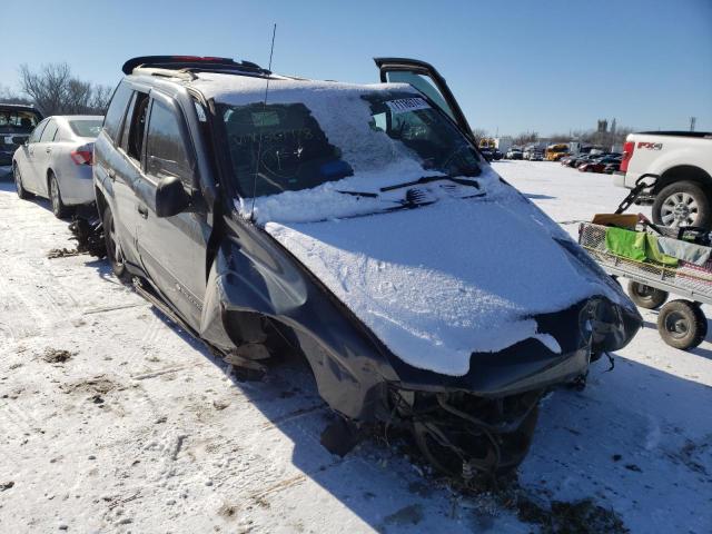 CHEVROLET TRAILBLAZE 2004 1gndt13s142369978