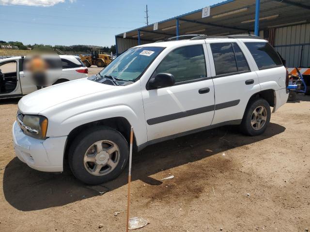 CHEVROLET TRAILBLZR 2005 1gndt13s152354169