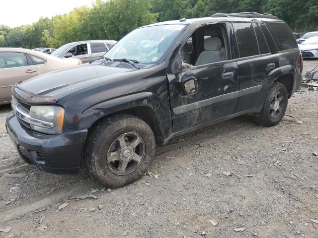 CHEVROLET TRAILBLAZE 2005 1gndt13s152385616