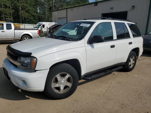 CHEVROLET TRAILBLAZE 2006 1gndt13s162125623