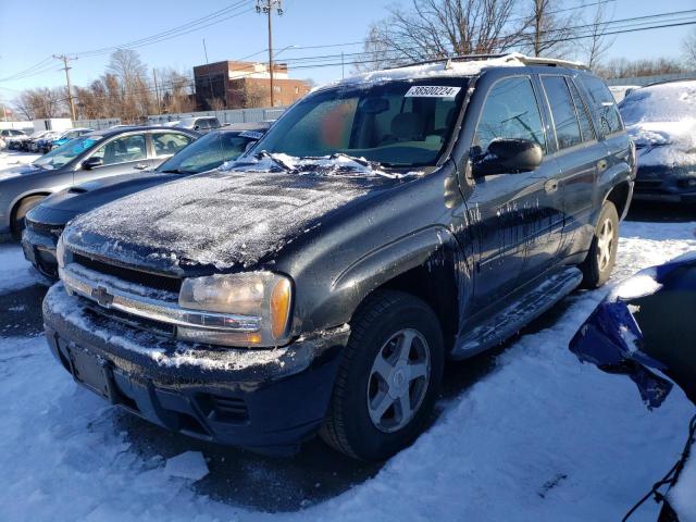 CHEVROLET TRAILBLZR 2006 1gndt13s162152840