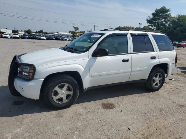 CHEVROLET TRAILBLAZE 2006 1gndt13s162172196