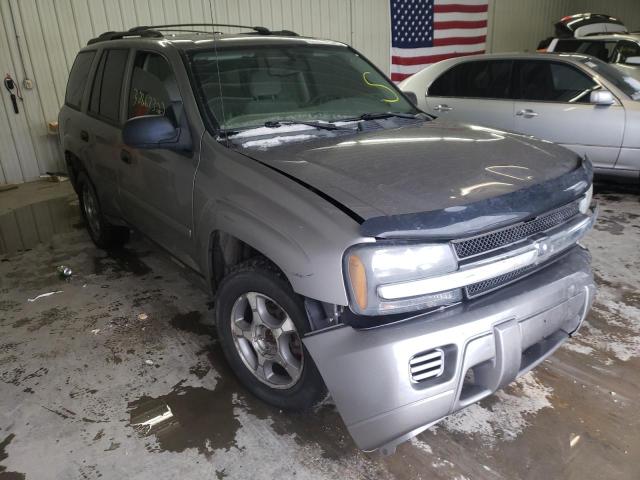 CHEVROLET TRAILBLAZE 2008 1gndt13s182108694