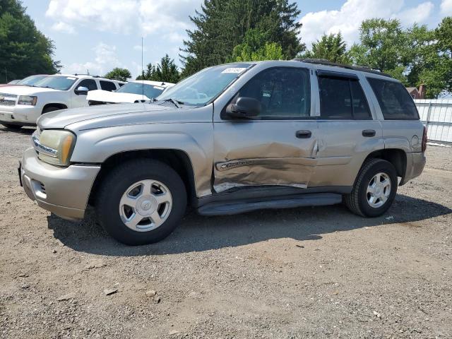 CHEVROLET TRAILBLAZE 2002 1gndt13s222170841