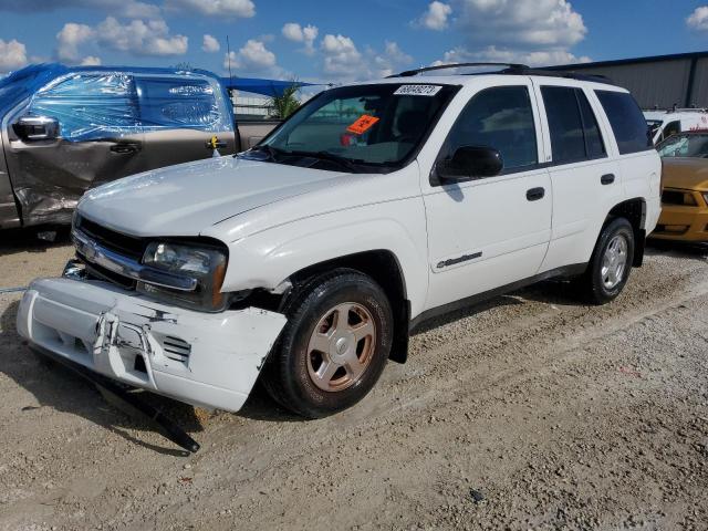 CHEVROLET TRAILBLAZE 2002 1gndt13s222179085