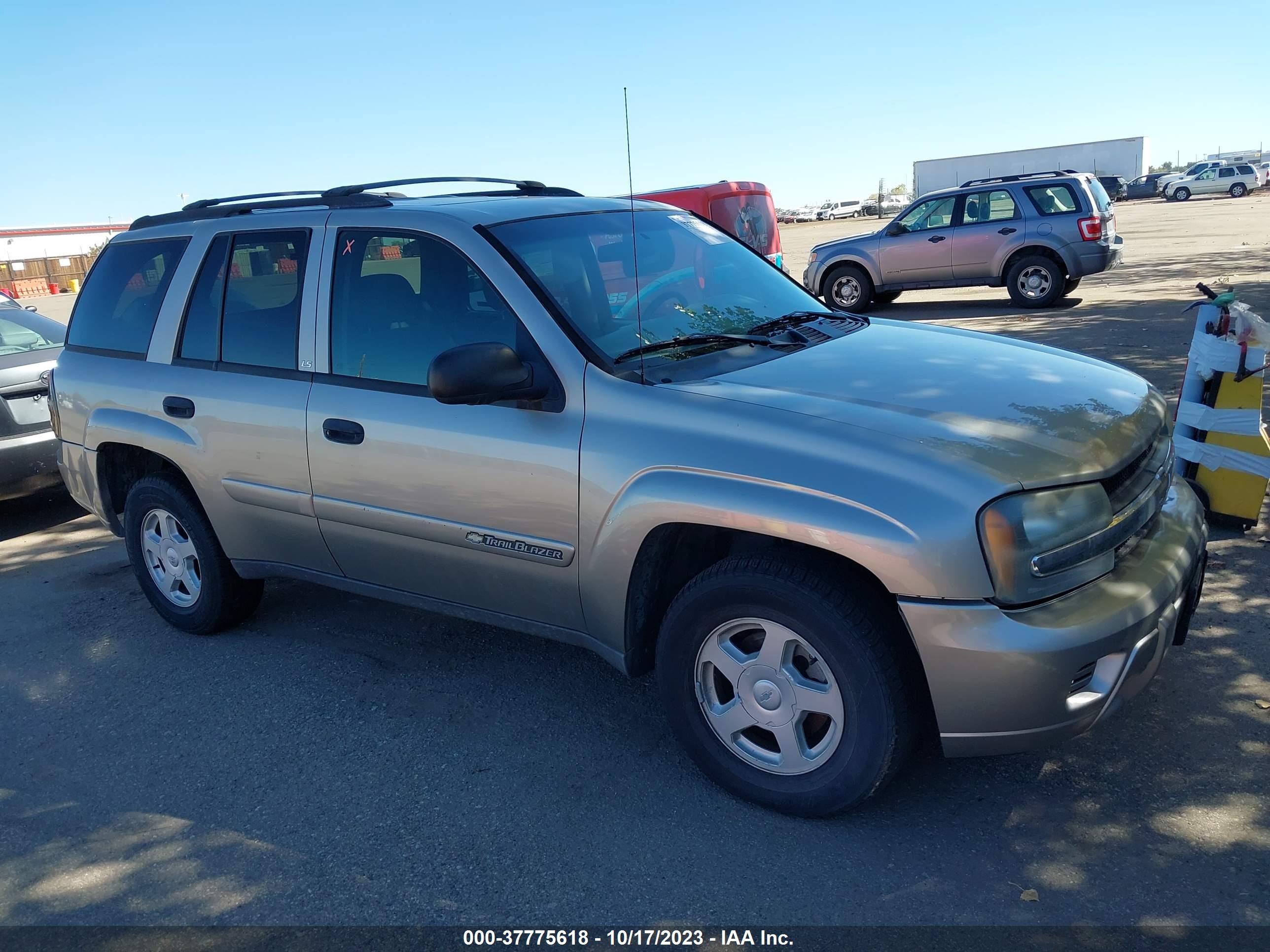 CHEVROLET TRAILBLAZER 2002 1gndt13s222422569