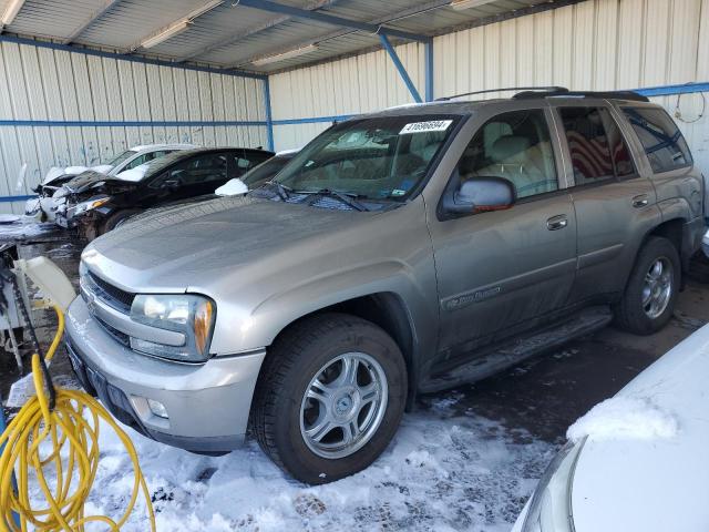 CHEVROLET TRAILBLZR 2003 1gndt13s232231087