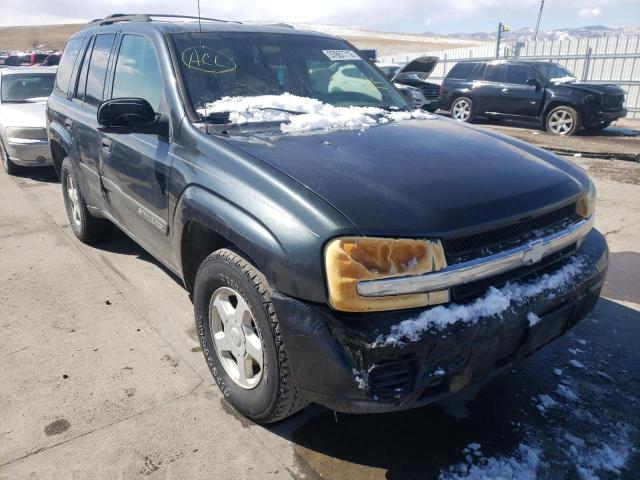 CHEVROLET TRAILBLAZE 2003 1gndt13s232387811