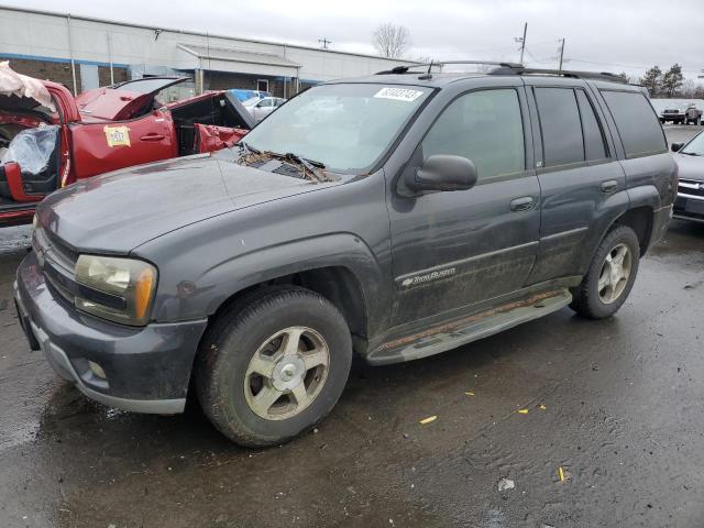 CHEVROLET TRAILBLZR 2004 1gndt13s242124123