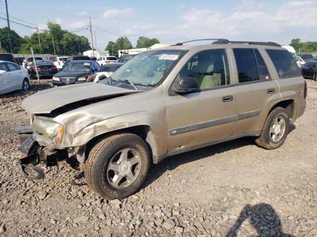 CHEVROLET TRAILBLZR 2004 1gndt13s242389091