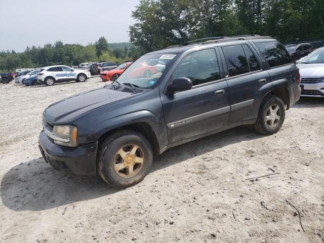 CHEVROLET TRAILBLAZE 2004 1gndt13s242438659