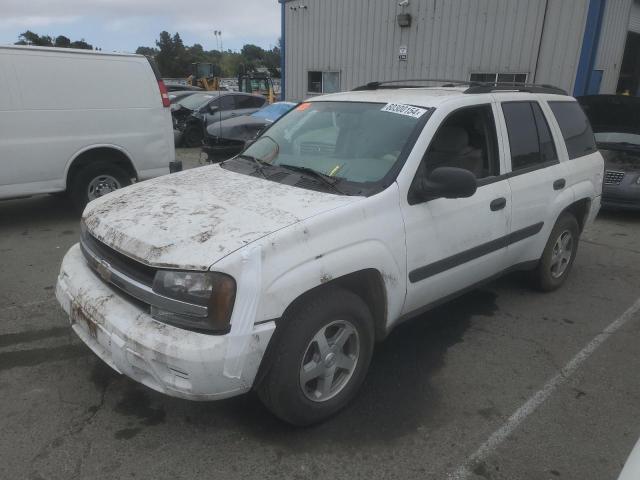 CHEVROLET TRAILBLAZE 2005 1gndt13s252290899