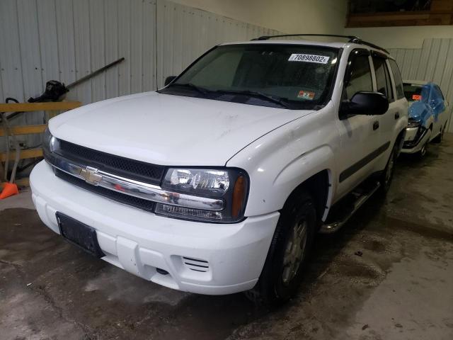 CHEVROLET TRAILBLAZE 2005 1gndt13s252341351