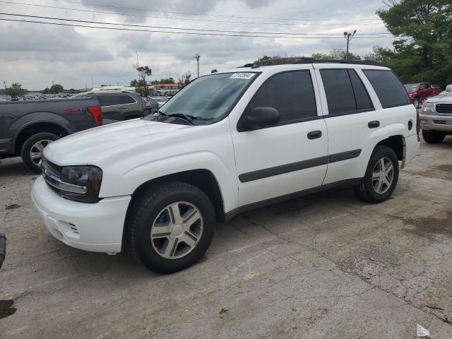 CHEVROLET TRAILBLAZE 2005 1gndt13s252344962