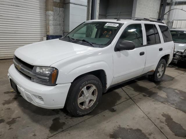 CHEVROLET TRAILBLZR 2006 1gndt13s262110290