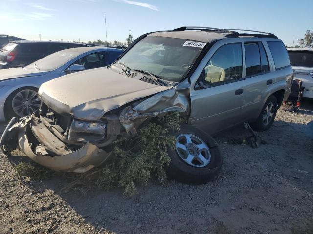 CHEVROLET TRAILBLZR 2006 1gndt13s262151051