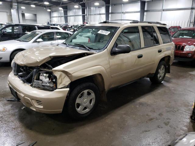 CHEVROLET TRAILBLZR 2006 1gndt13s262303653