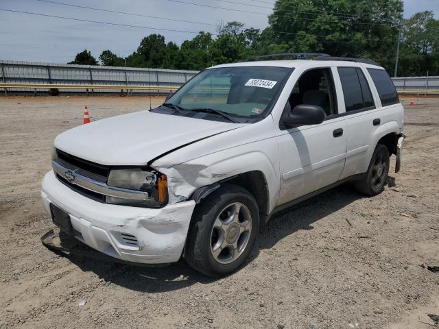 CHEVROLET TRAILBLZR 2006 1gndt13s262359043