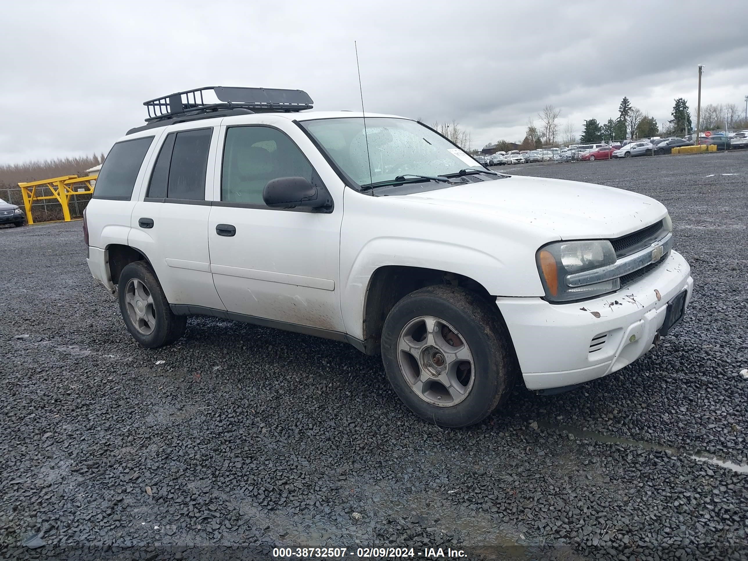 CHEVROLET TRAILBLAZER 2008 1gndt13s282103438