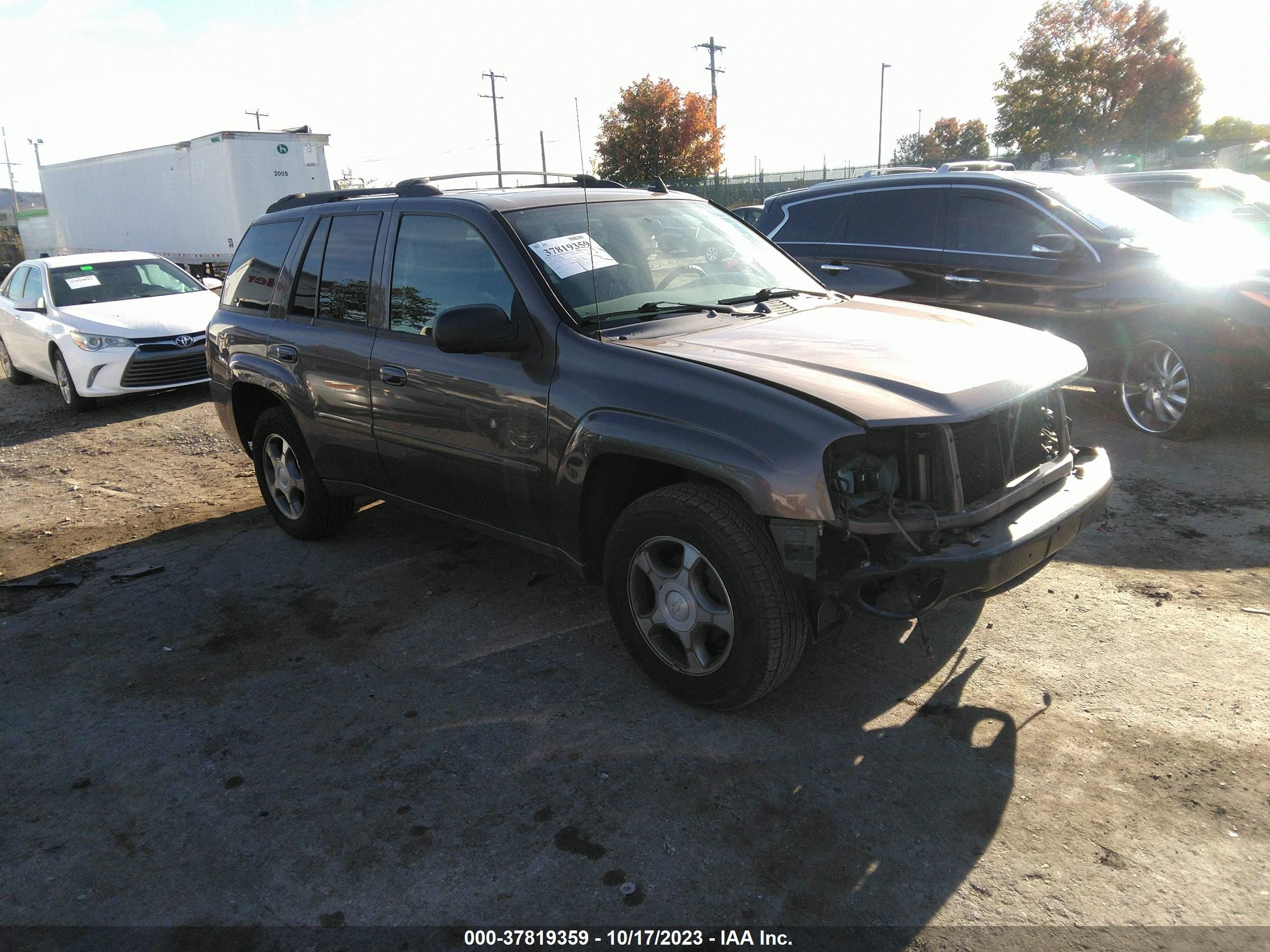 CHEVROLET TRAILBLAZER 2008 1gndt13s282152056